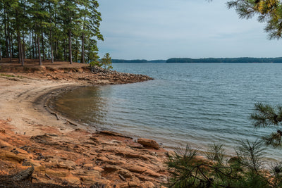 Why your lake is the way it is - Mucky, Weedy, Sandy or Clean