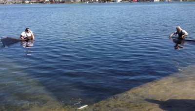 What size LakeMat Pro do you need?  When smaller is better.