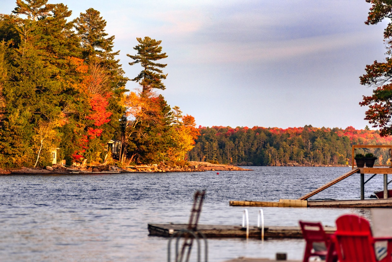 Lake Weed Rollers and Blowers