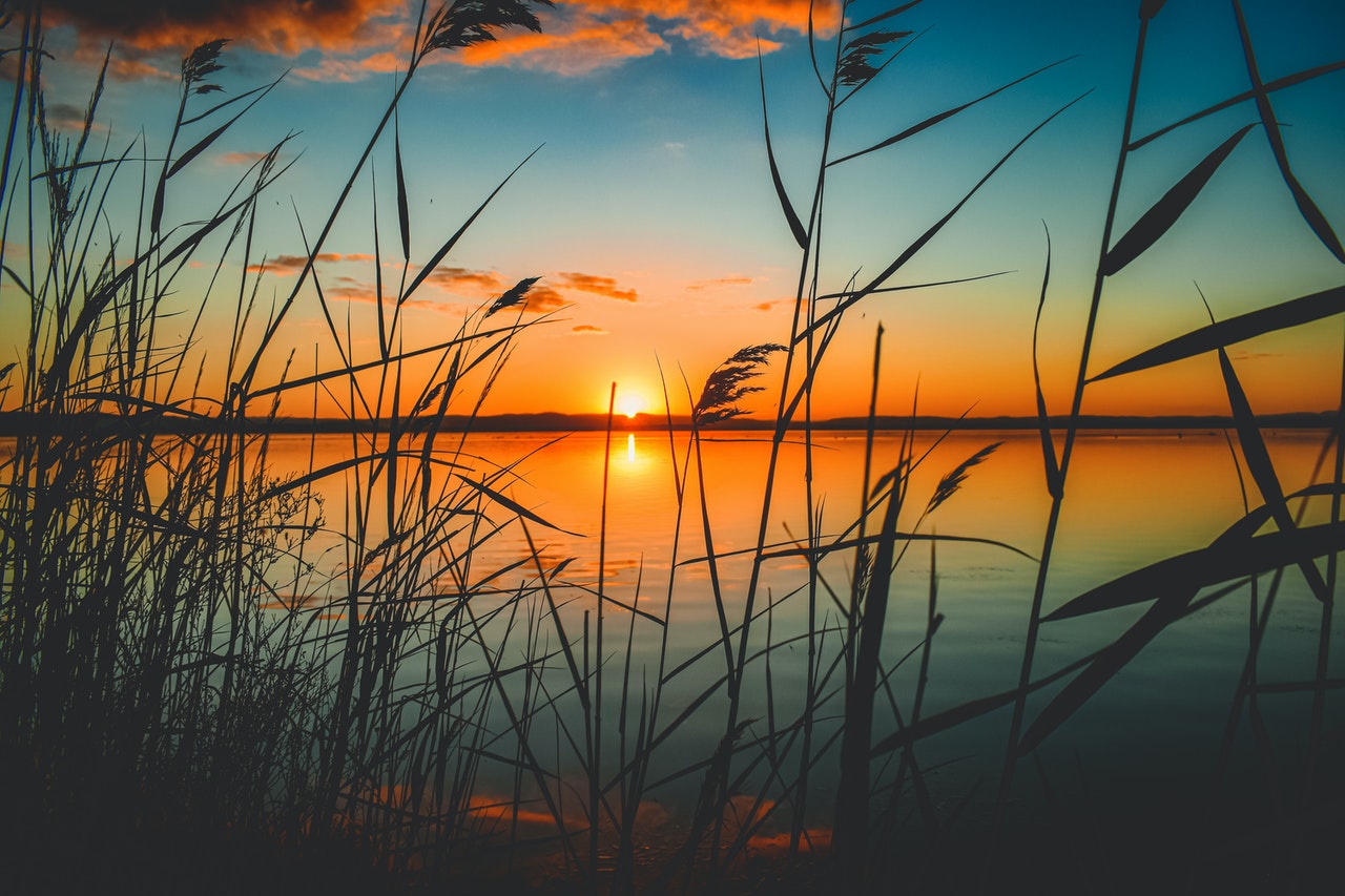 Not all lake weed mats are created equal