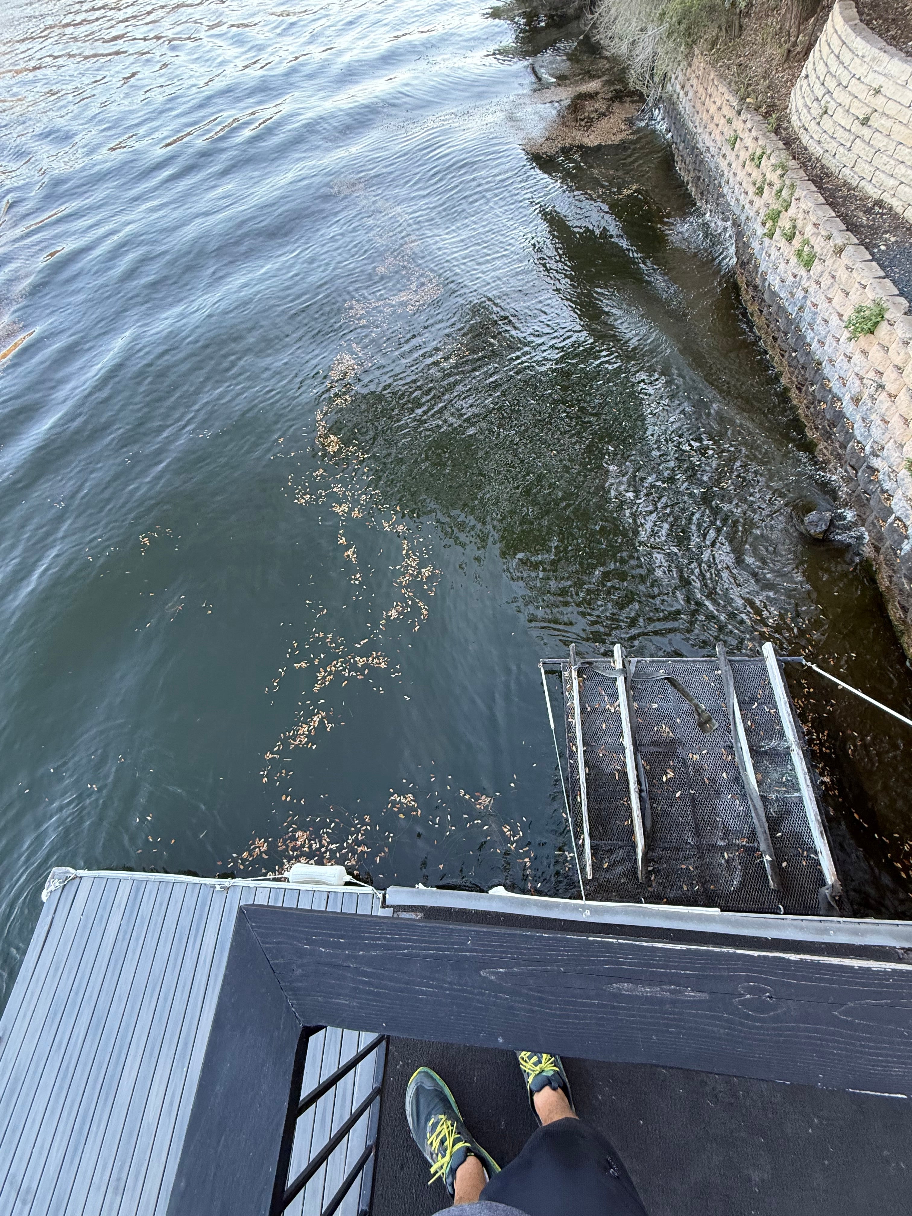 Hydrilla Killa Mat