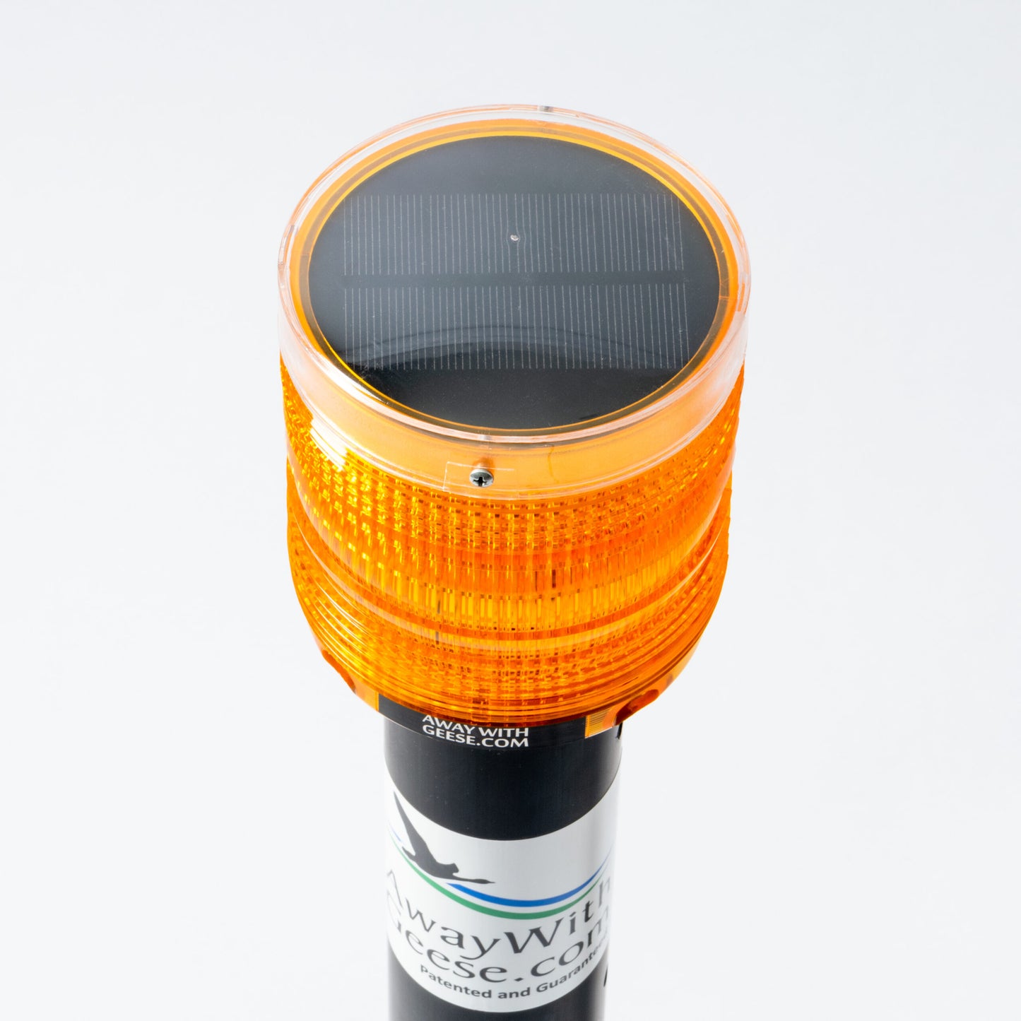 Away with Geese - Dock Unit