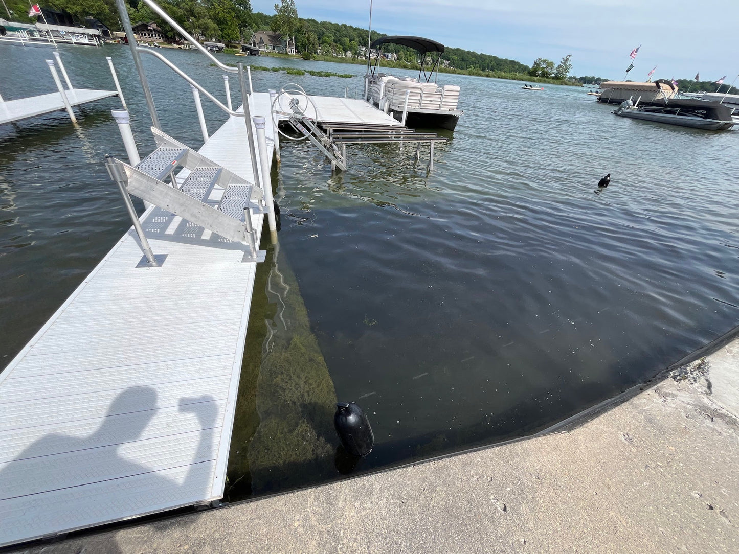 Hydrilla Killa - Create your own hydrilla-free zone