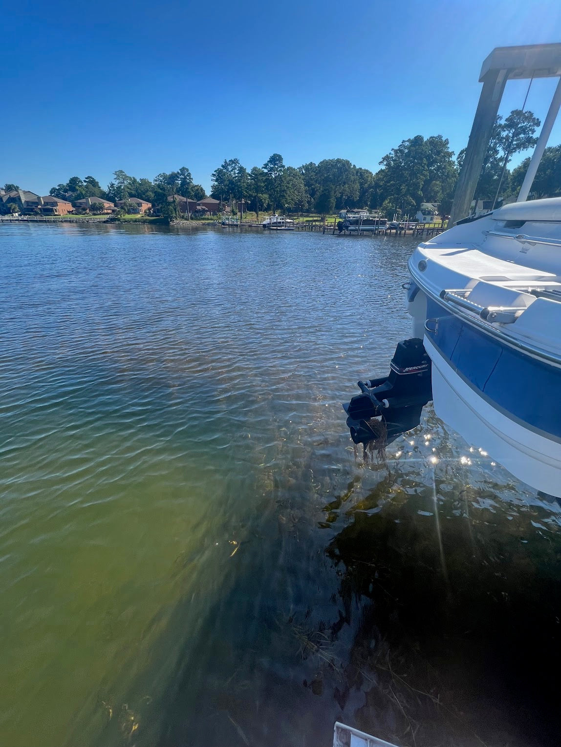 Hydrilla Killa - Create your own hydrilla-free zone