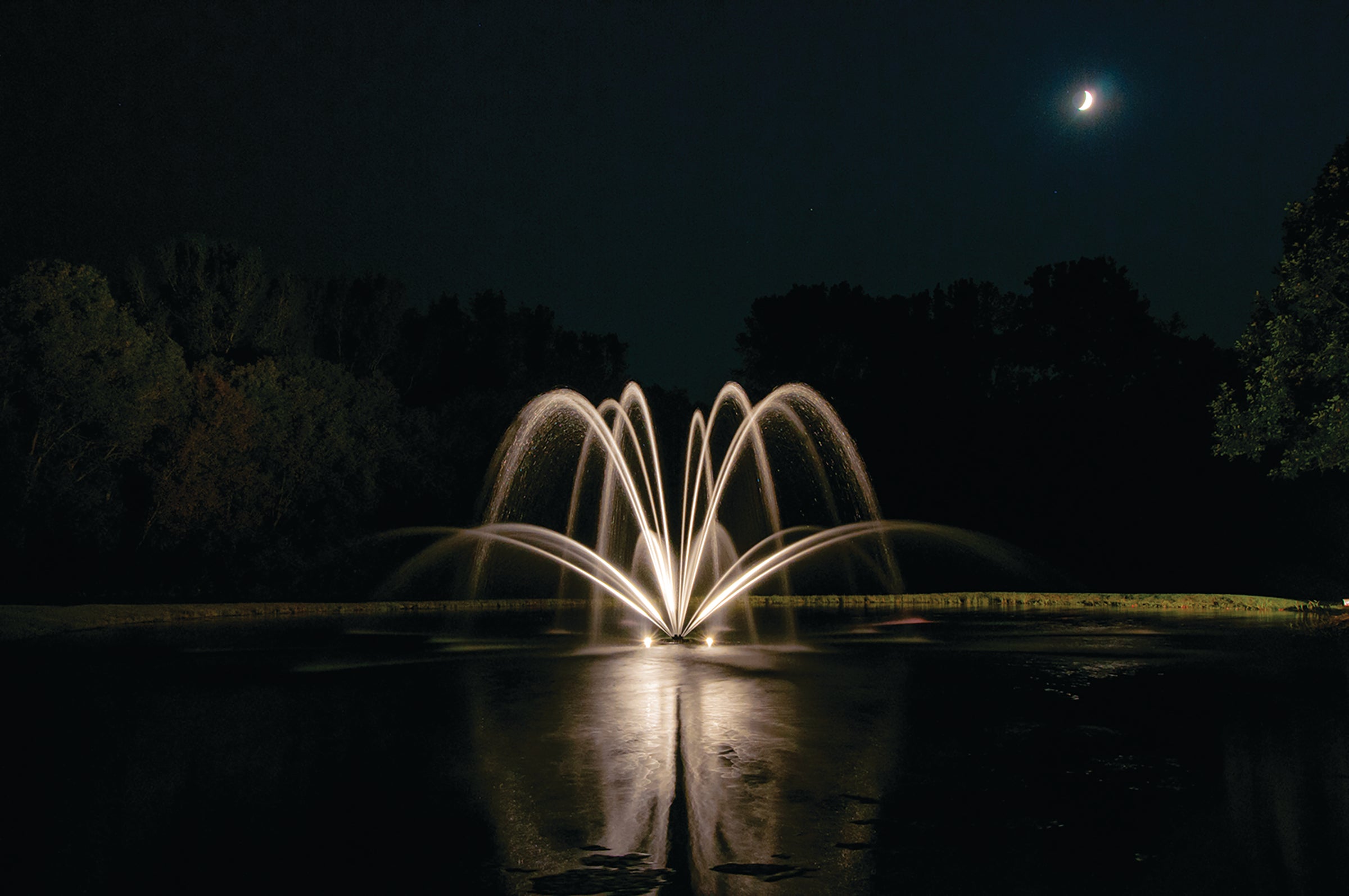 LED Composite Light, 4 Fixtures, 11Watts ea., 120V, Includes color lenses w/red, blue, green & amber, For Non-Kasco Fountains