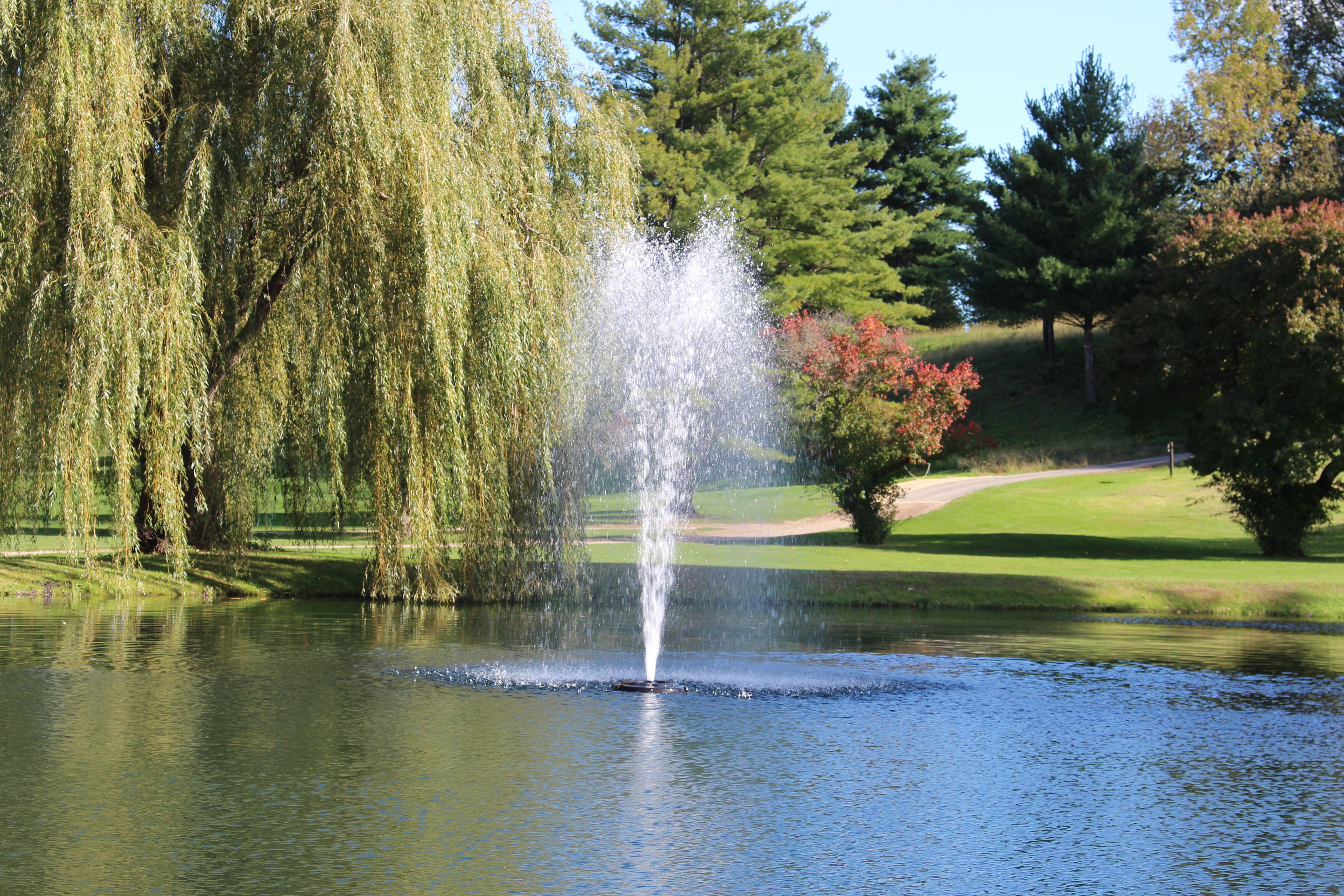 J Series Fountain, 3/4HP, 120V, 1PH, Float, C-25 Control Panel, 5 Nozzles, 50-100ft Power Cord