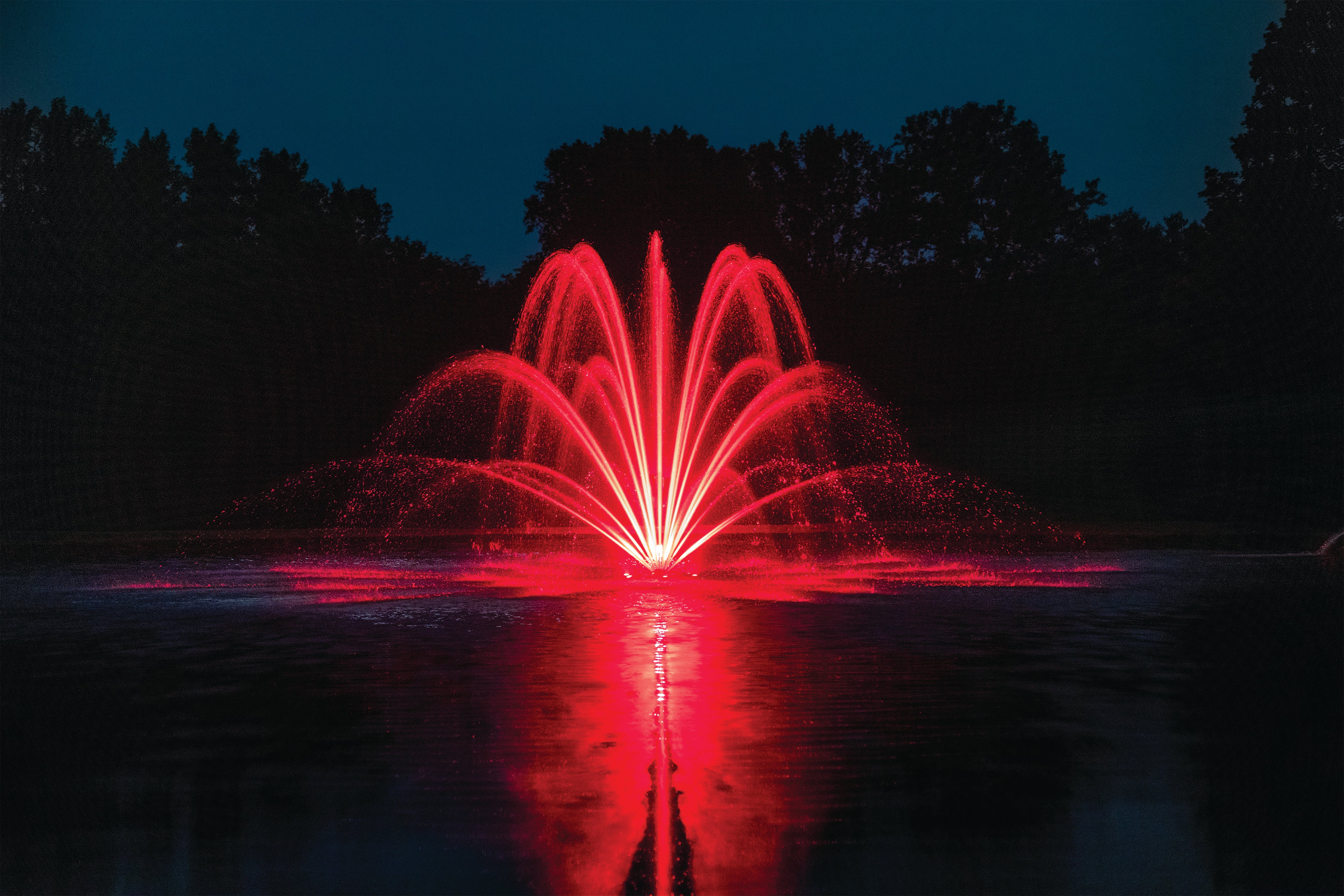 LED Composite Light, 4 Fixtures, 11Watts ea., 120V, Includes color lenses w/red, blue, green & amber, For Non-Kasco Fountains