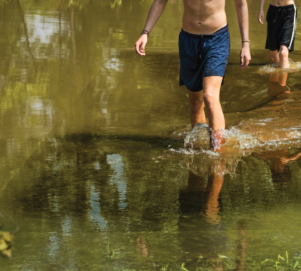 Water clarity and algae control
