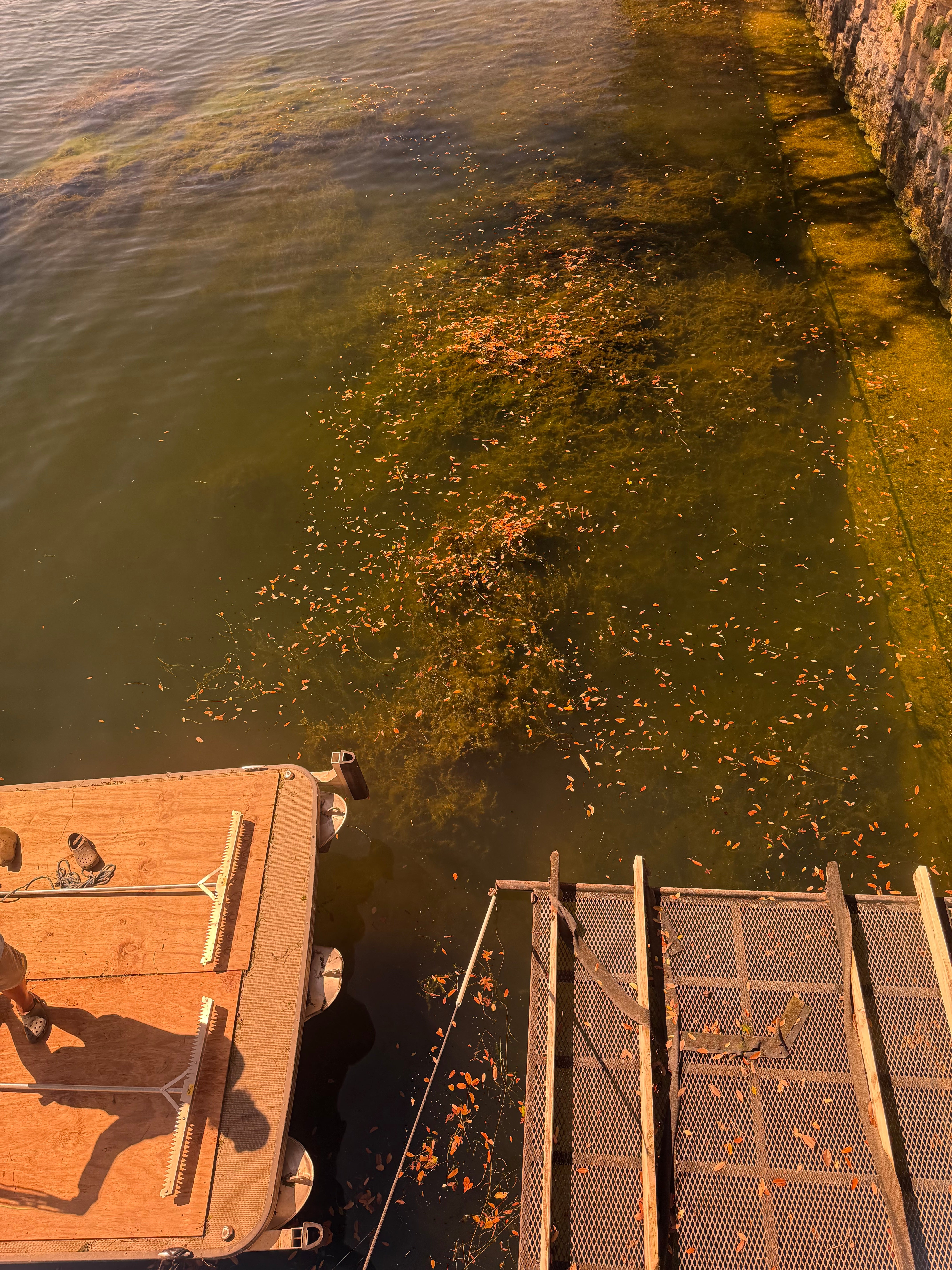 Water testing and monitoring