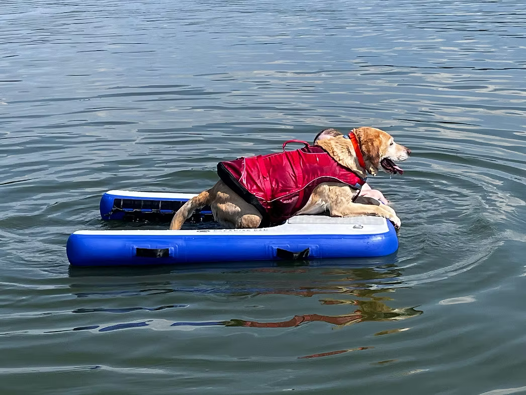 Inflatable Dog Ramp for Boats & Docks Water Exit/Entry