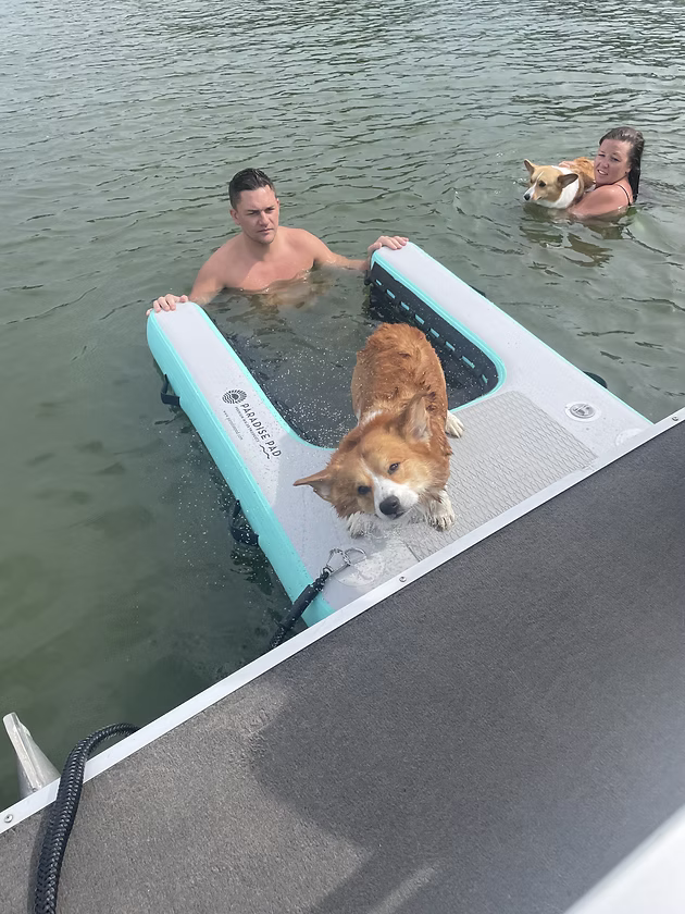 Inflatable Dog Ramp for Boats & Docks Water Exit/Entry