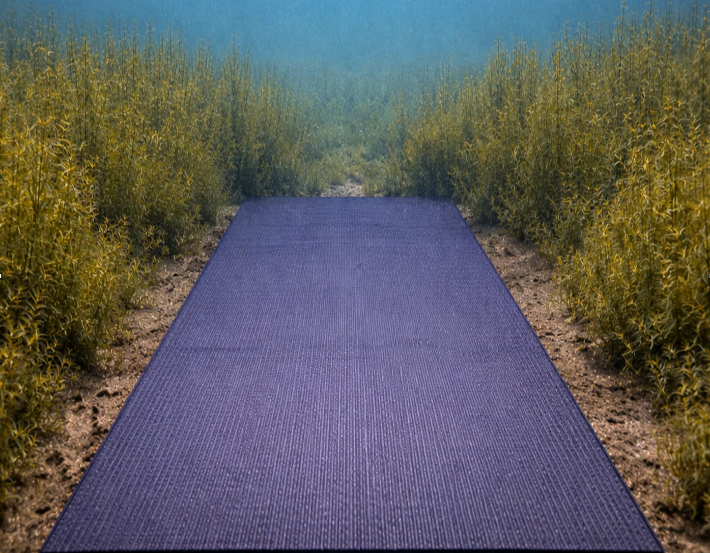 Hydrilla Killa - Create your own hydrilla-free zone